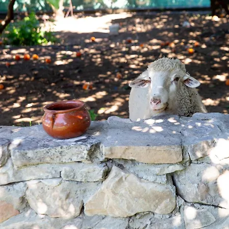 Con Piscina En Conil De La Frontera - Casa Oeste Holiday home